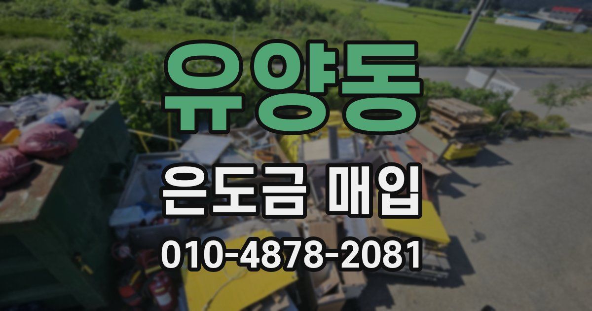 유양동 은도금 매입