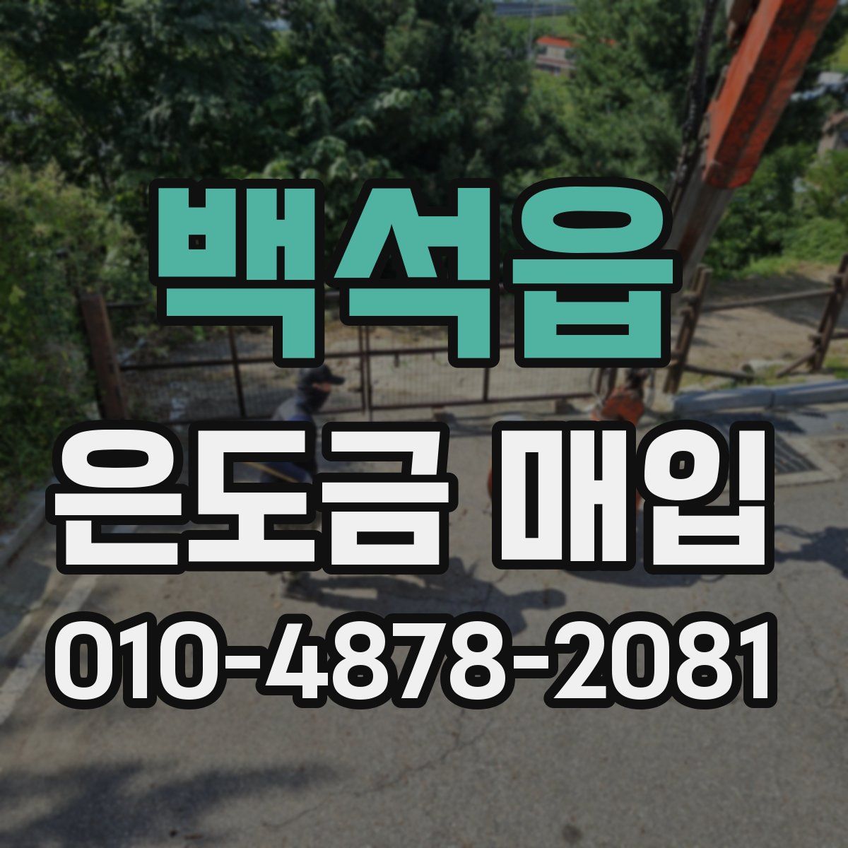 백석읍 은도금 매입