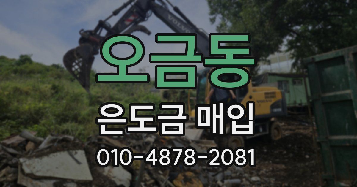 오금동 은도금 매입