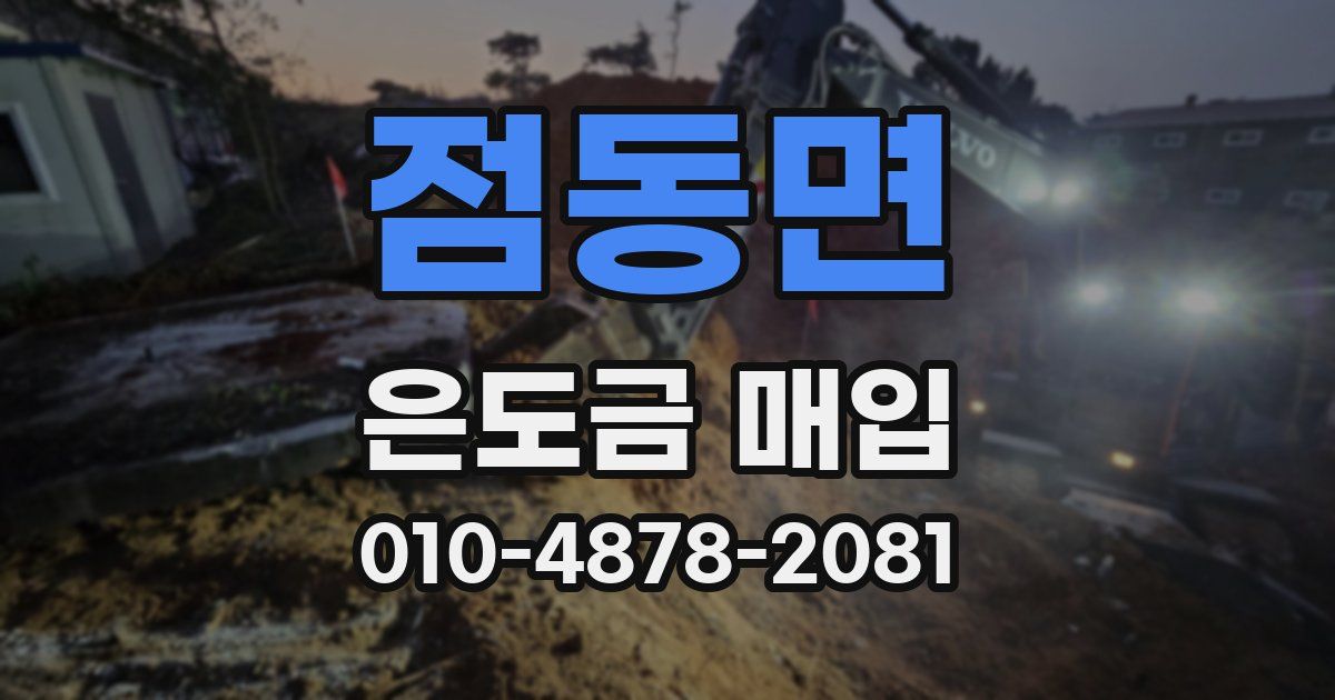 점동면 은도금 매입