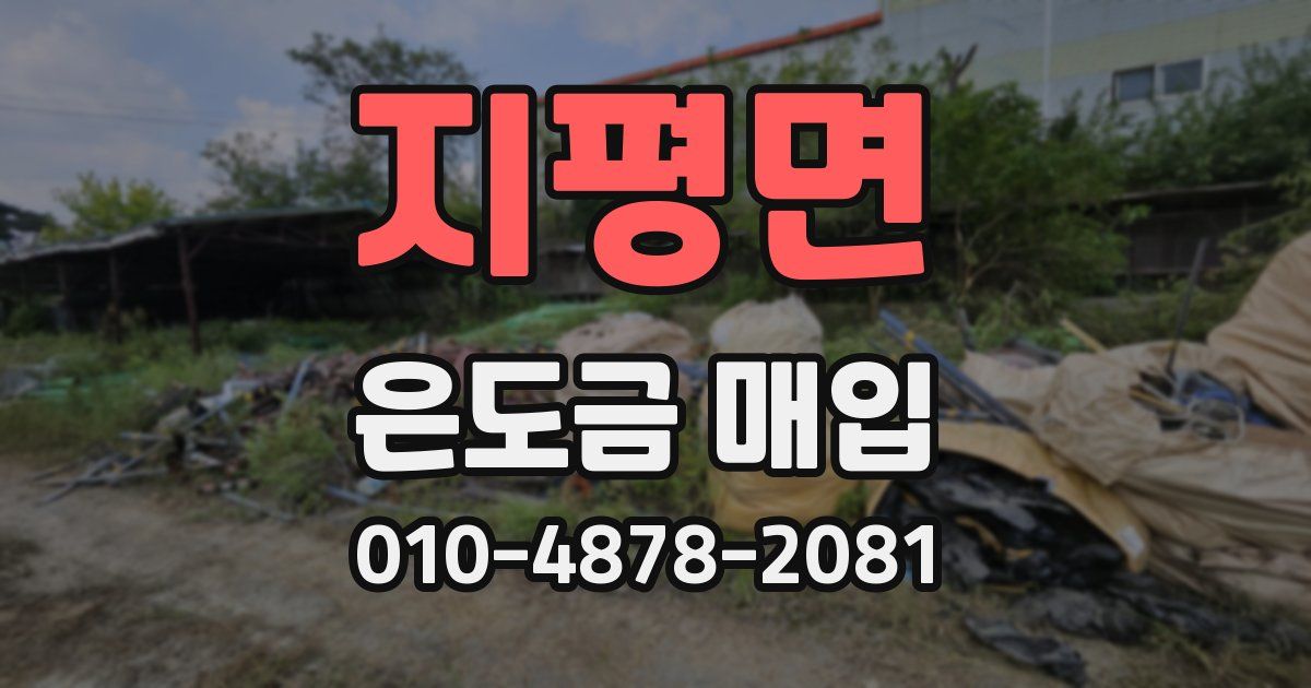 지평면 은도금 매입