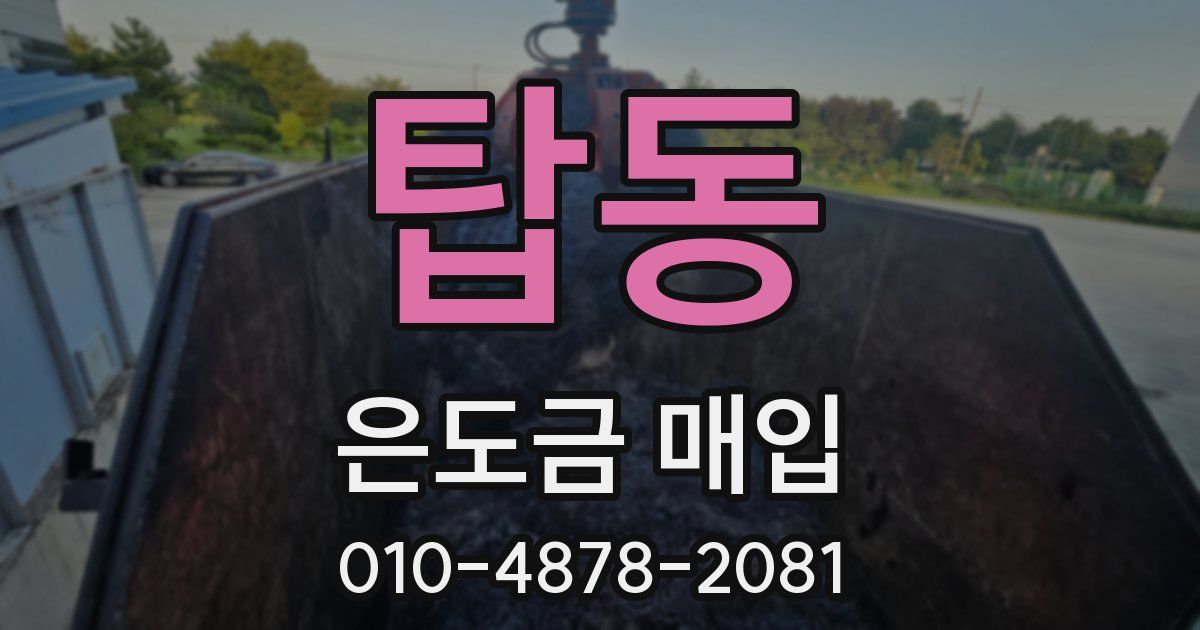 탑동 은도금 매입