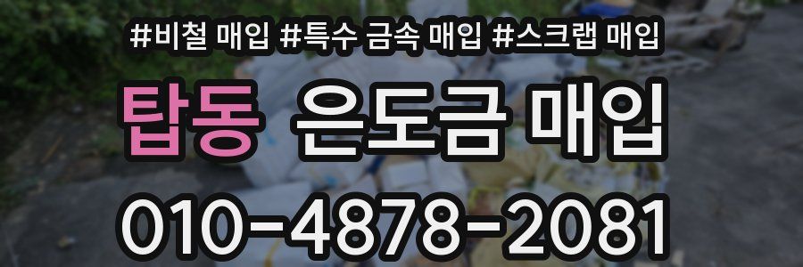 탑동 은도금 매입