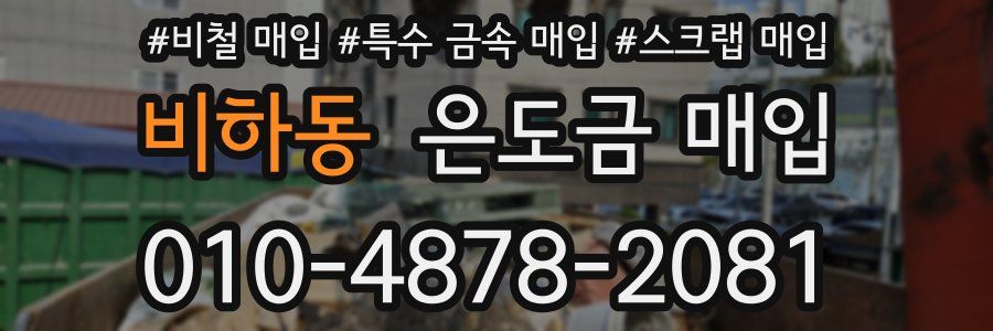 비하동 은도금 매입