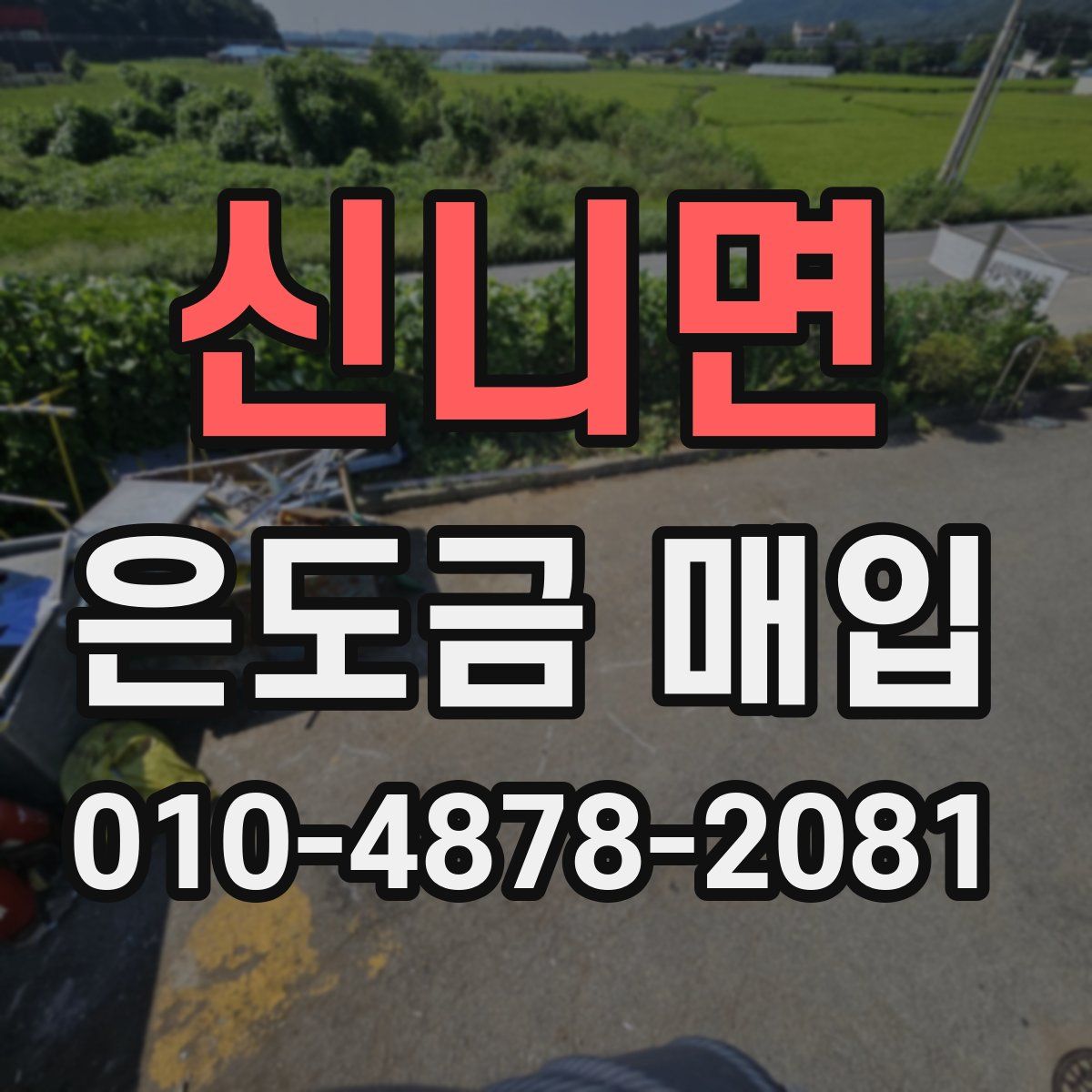 신니면 은도금 매입