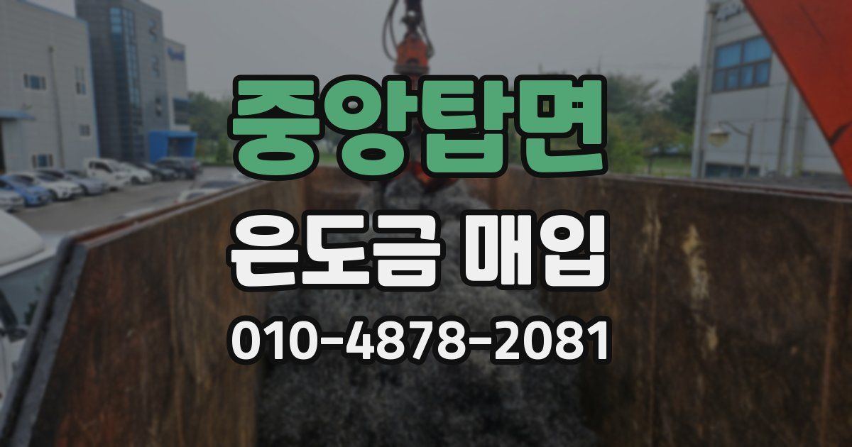 중앙탑면 은도금 매입