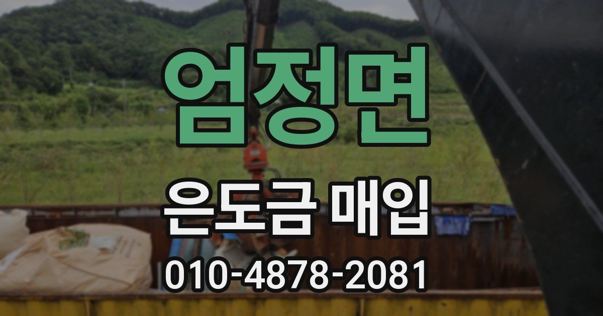 엄정면 은도금 매입