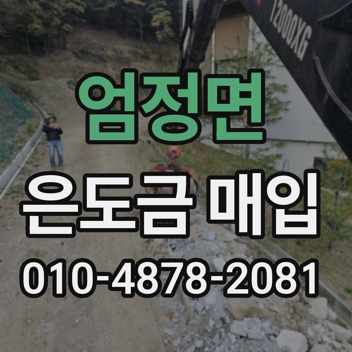 엄정면 은도금 매입