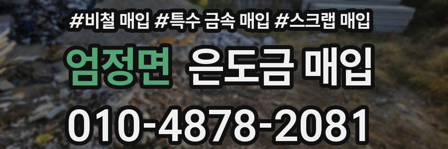 엄정면 은도금 매입
