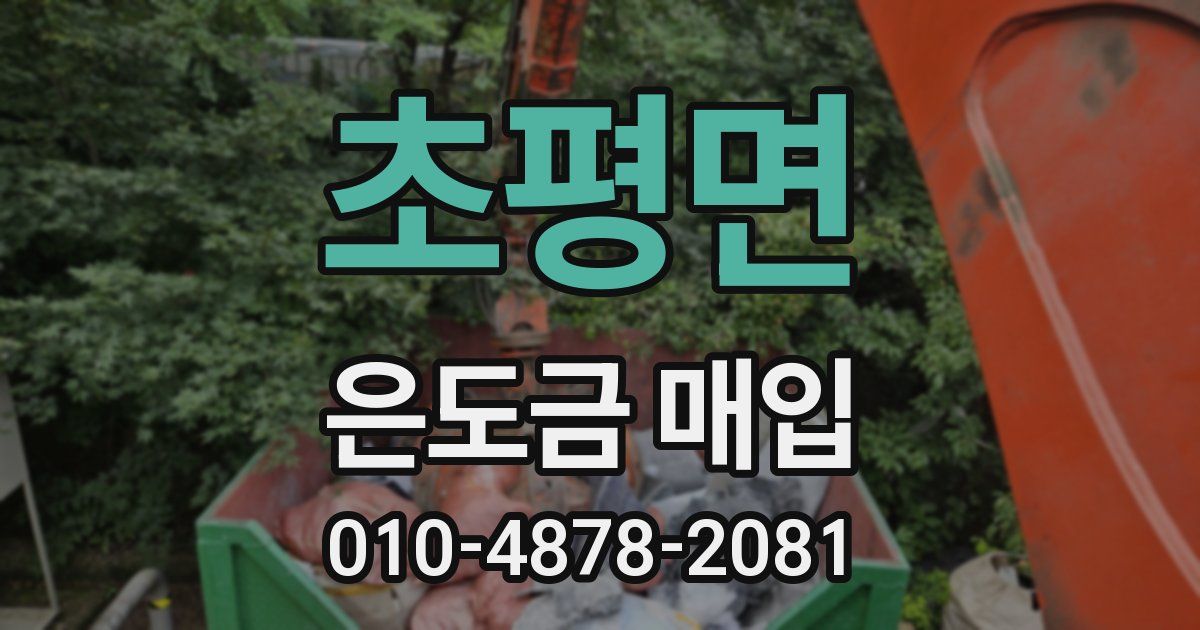 초평면 은도금 매입