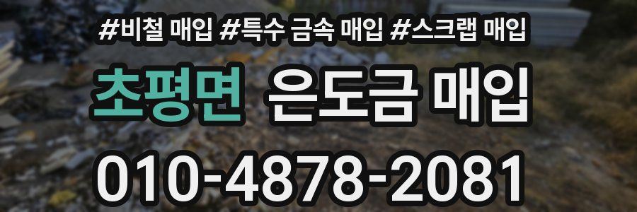 초평면 은도금 매입