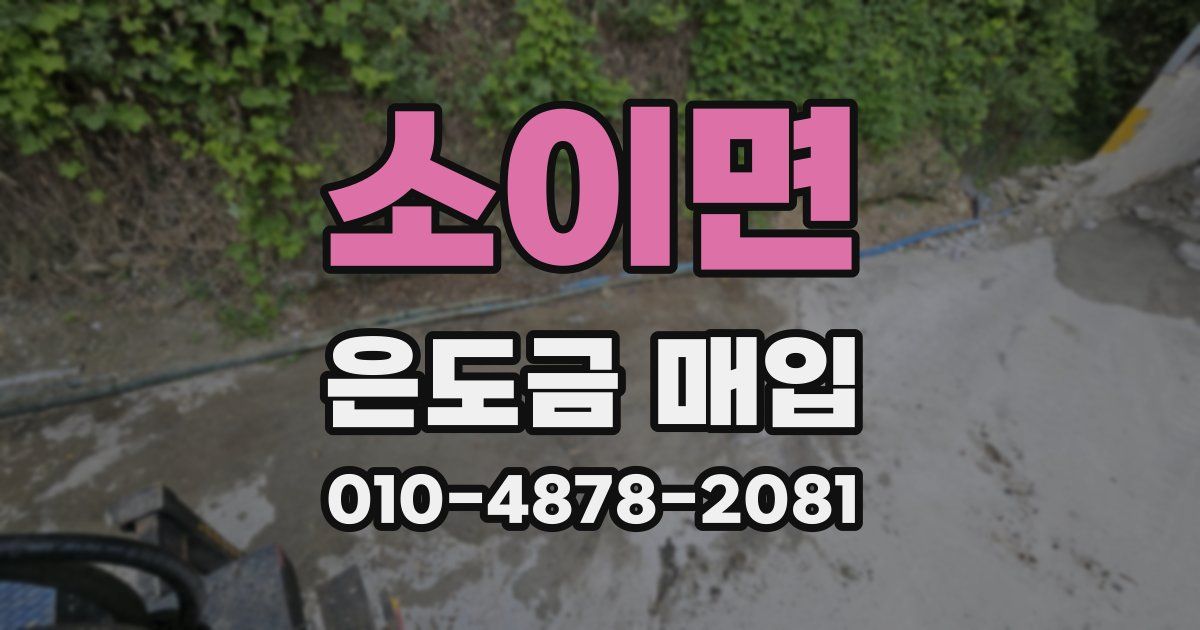 소이면 은도금 매입