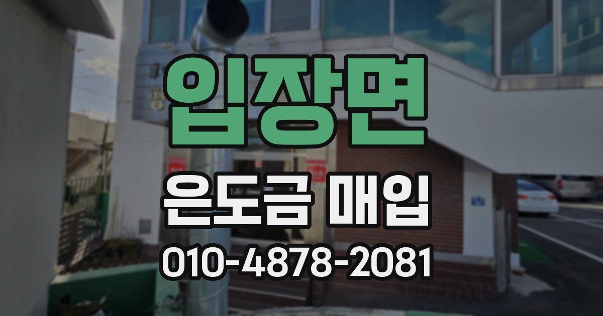 입장면 은도금 매입