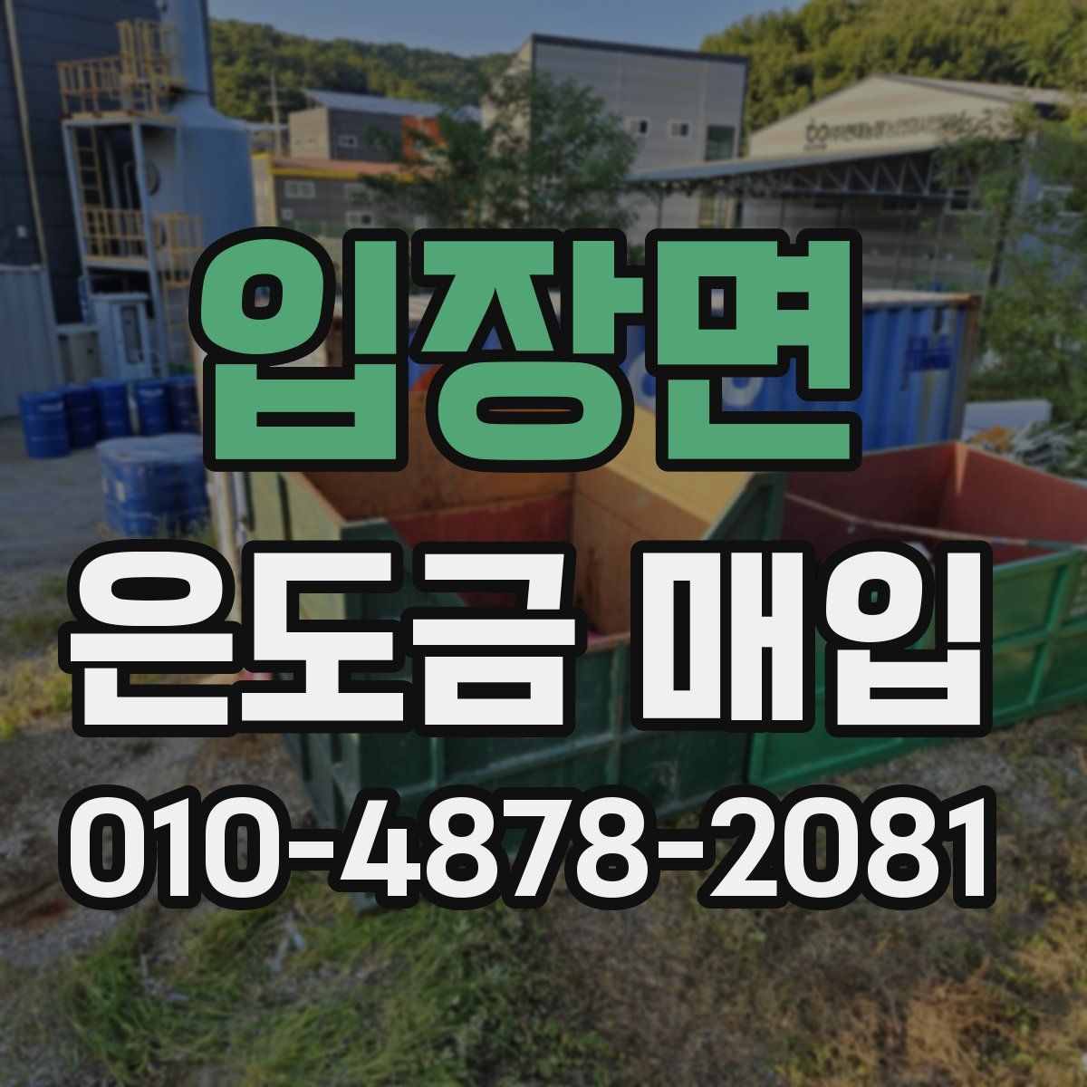 입장면 은도금 매입