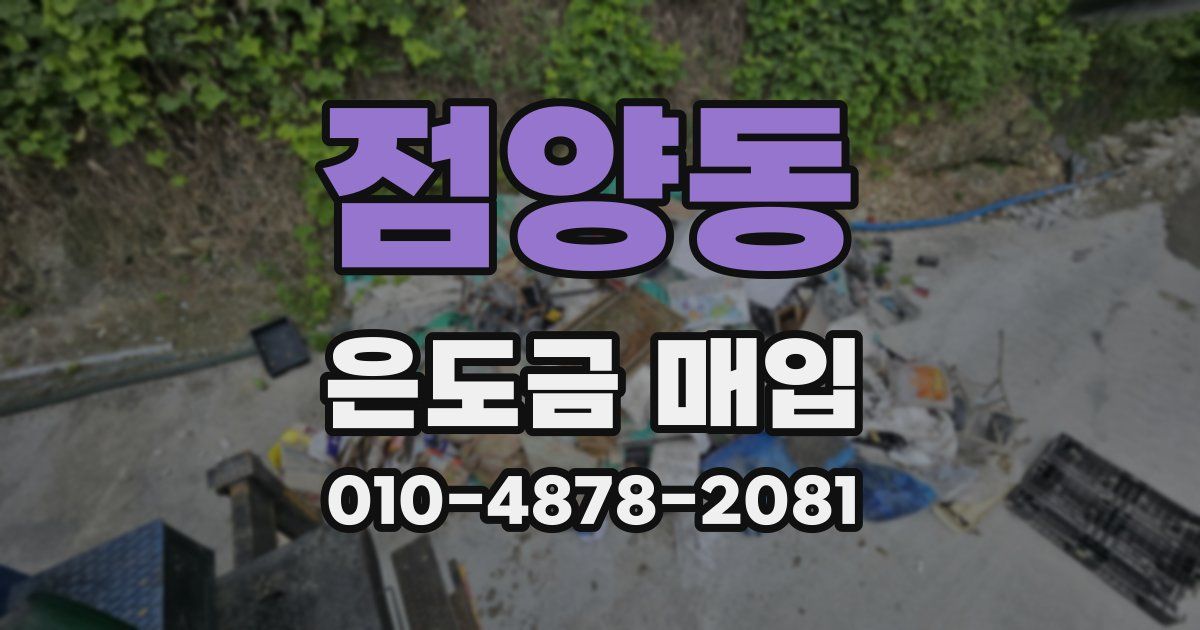 점양동 은도금 매입