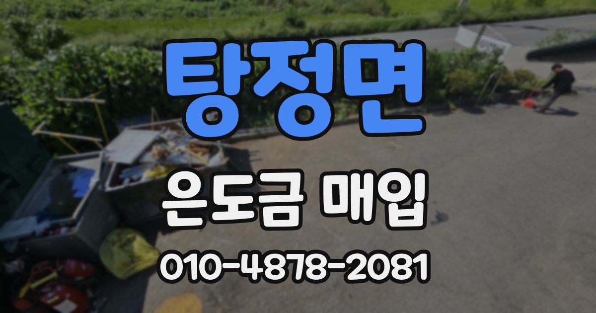 탕정면 은도금 매입