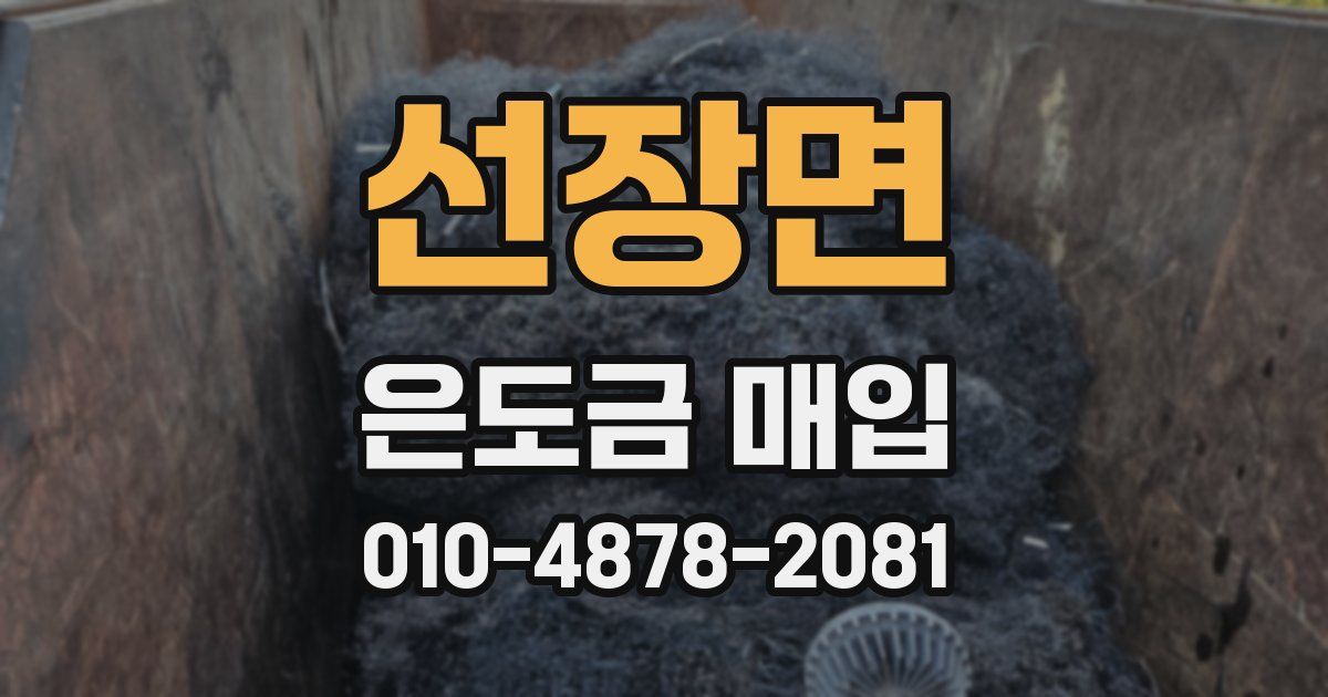 선장면 은도금 매입