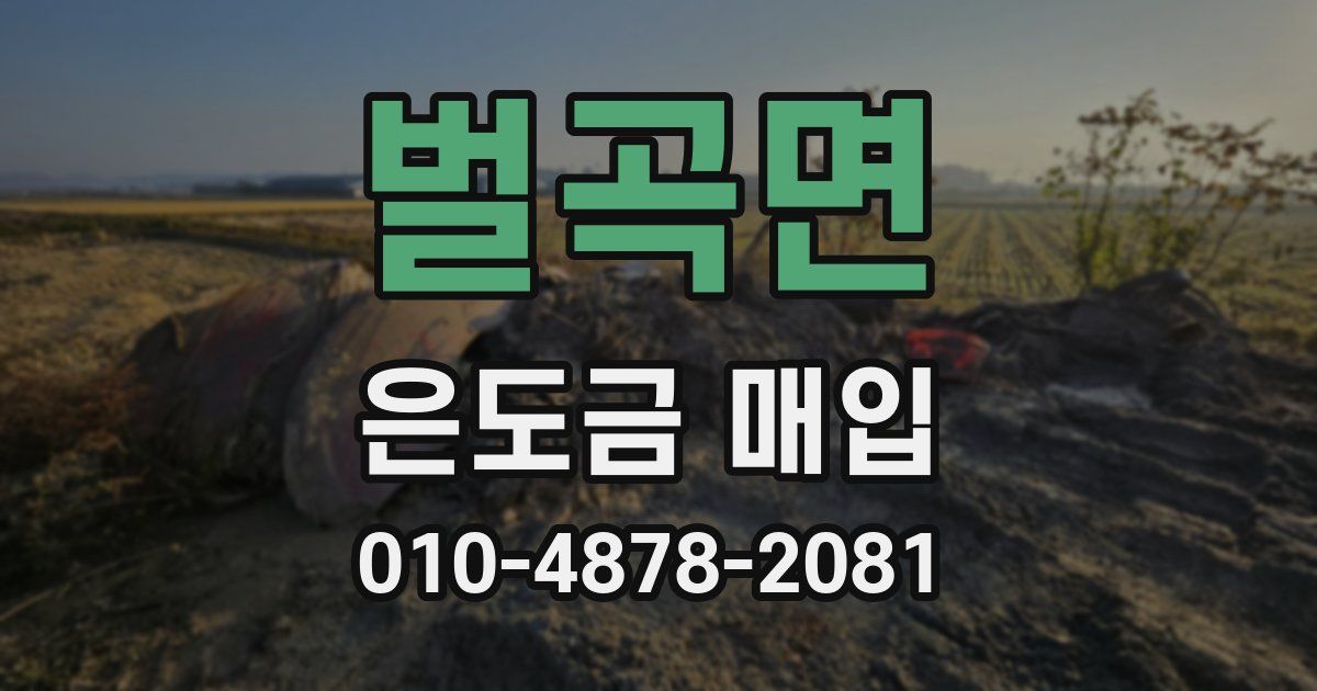 벌곡면 은도금 매입