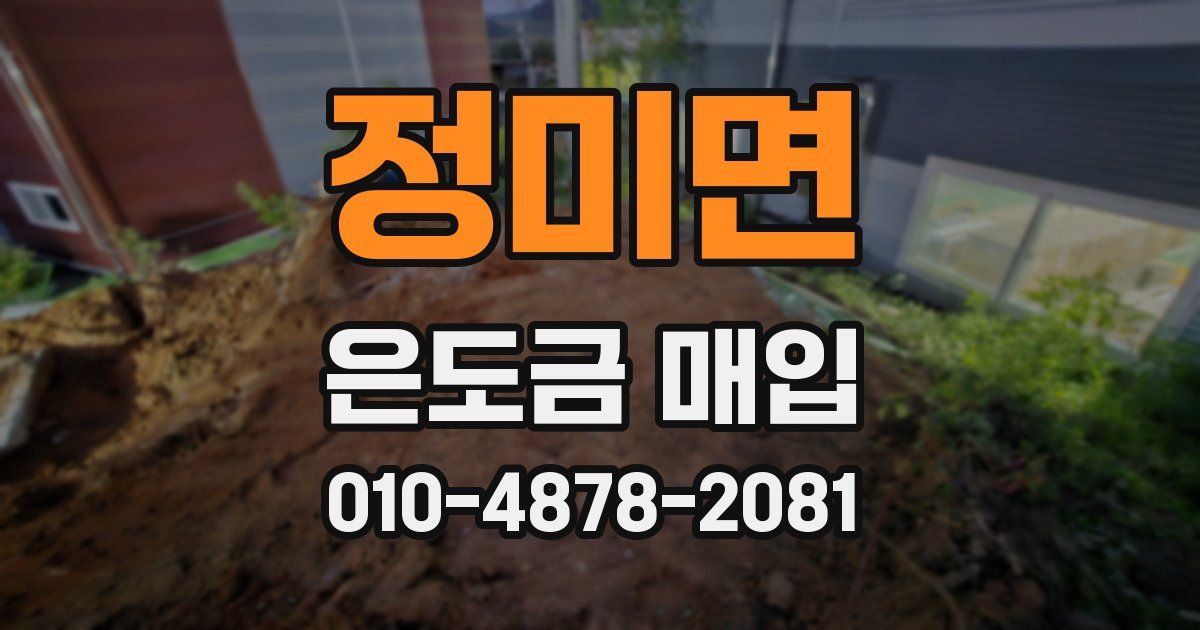 정미면 은도금 매입