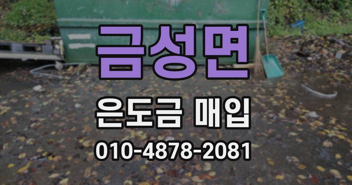 금성면 은도금 매입