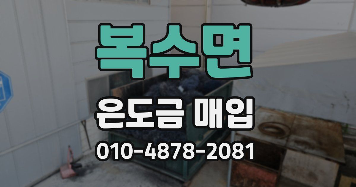 복수면 은도금 매입
