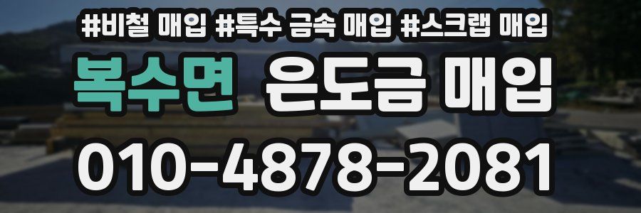 복수면 은도금 매입