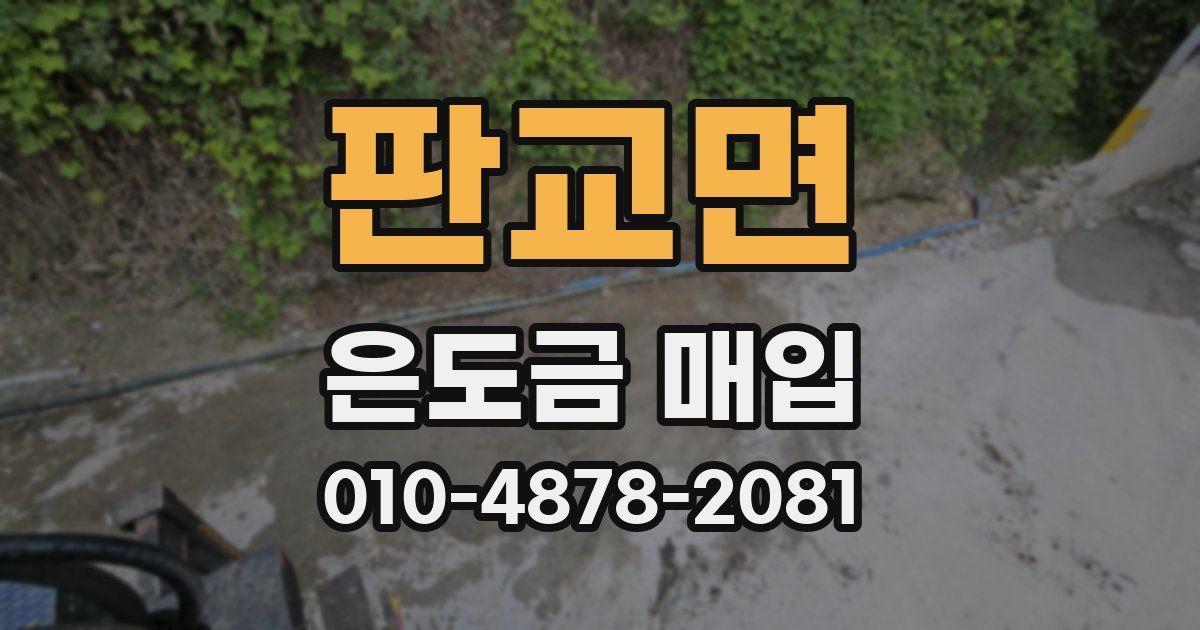 판교면 은도금 매입
