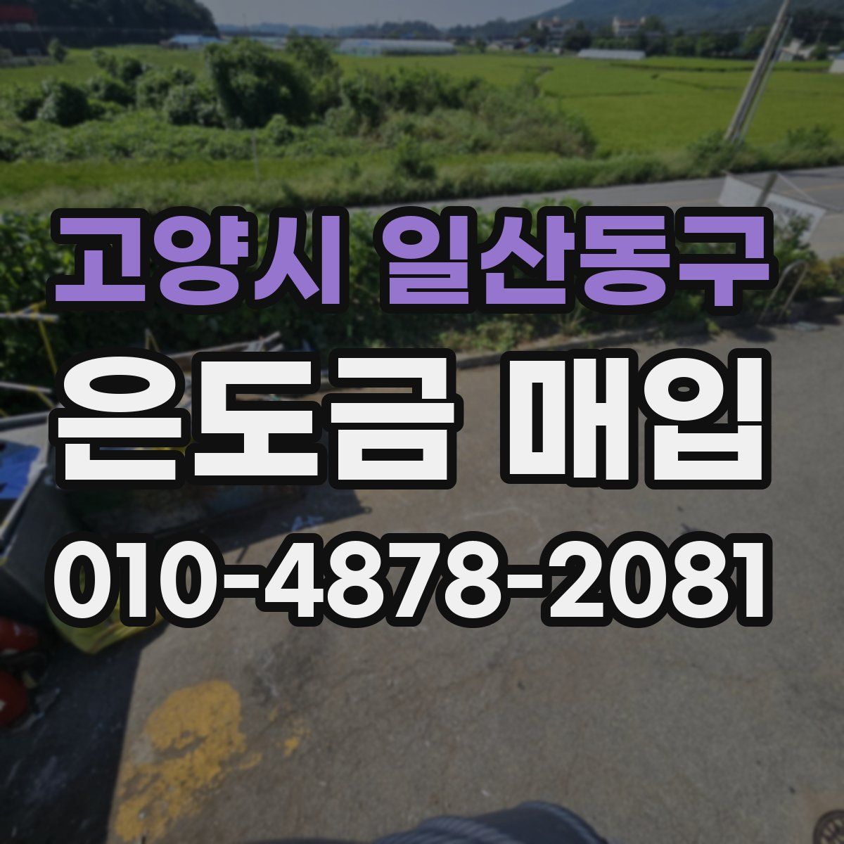 고양시 일산동구 은도금 매입