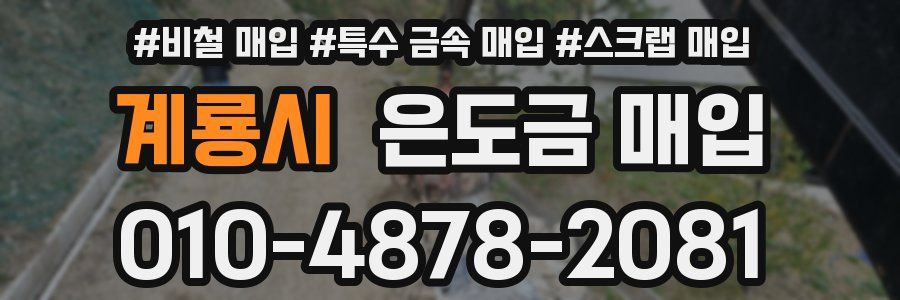 계룡시 은도금 매입