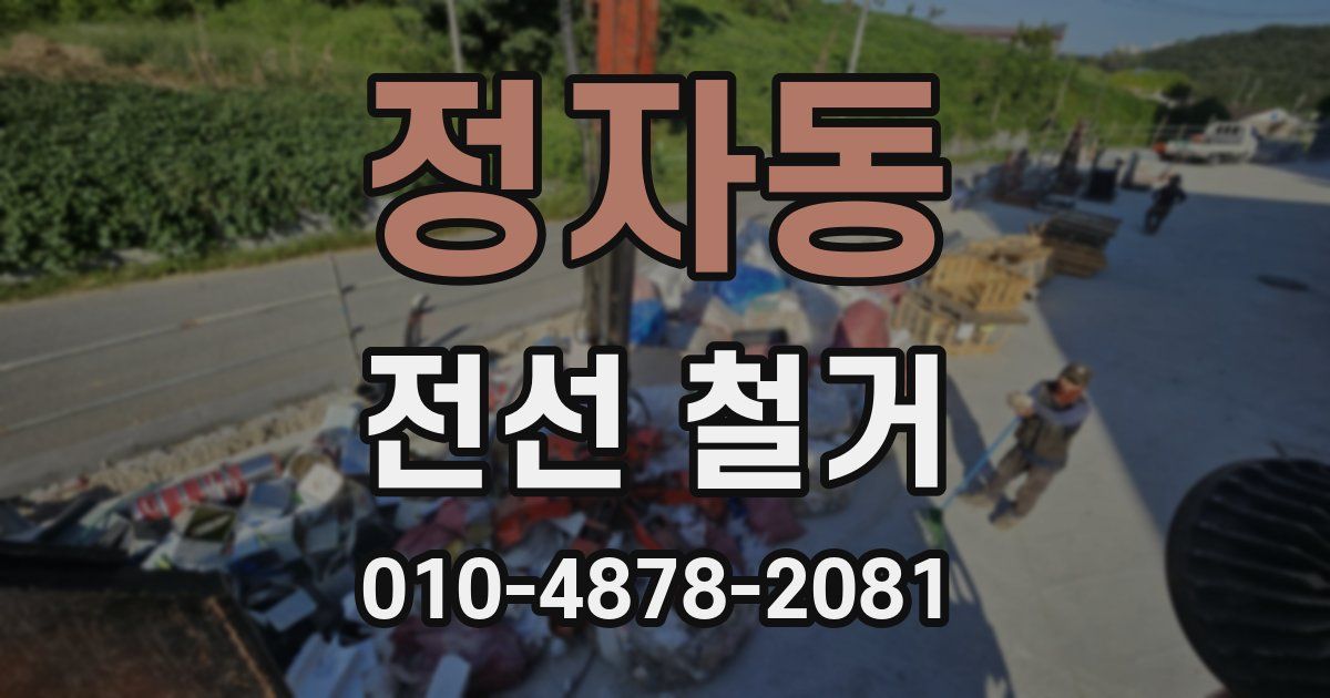 정자동 전선 철거