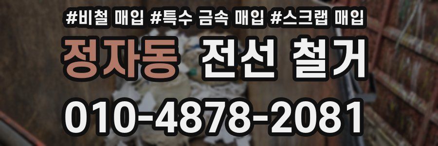 정자동 전선 철거
