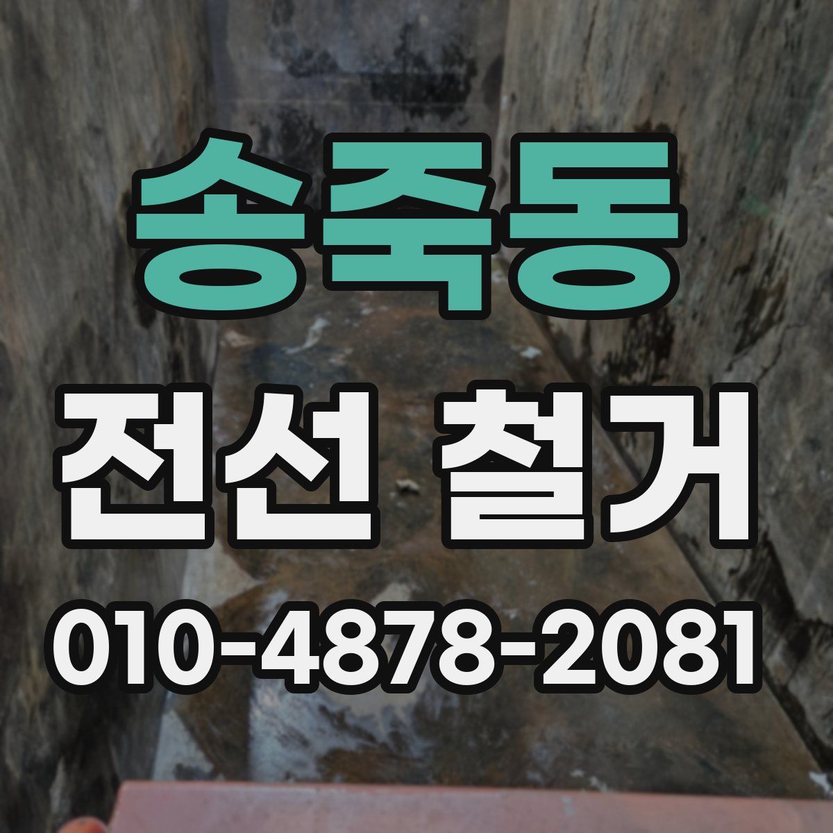 송죽동 전선 철거