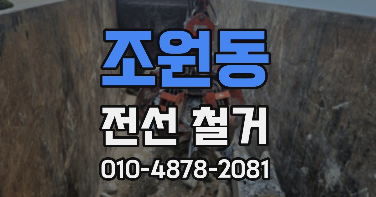 조원동 전선 철거