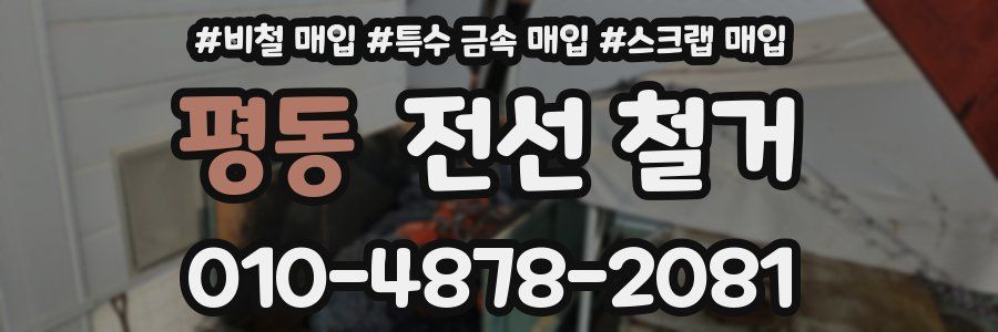 평동 전선 철거