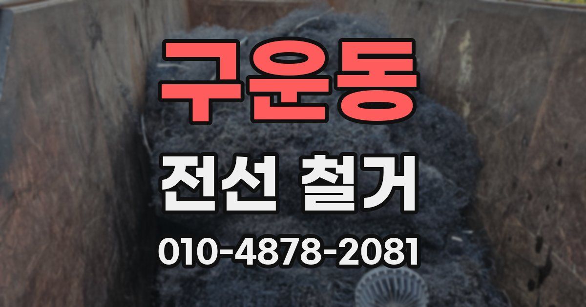 구운동 전선 철거