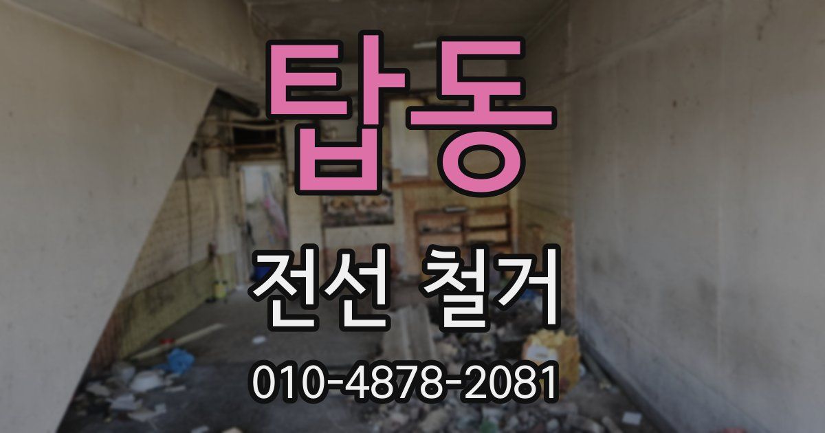 탑동 전선 철거
