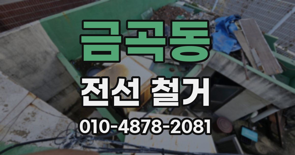 금곡동 전선 철거