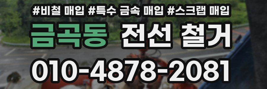 금곡동 전선 철거