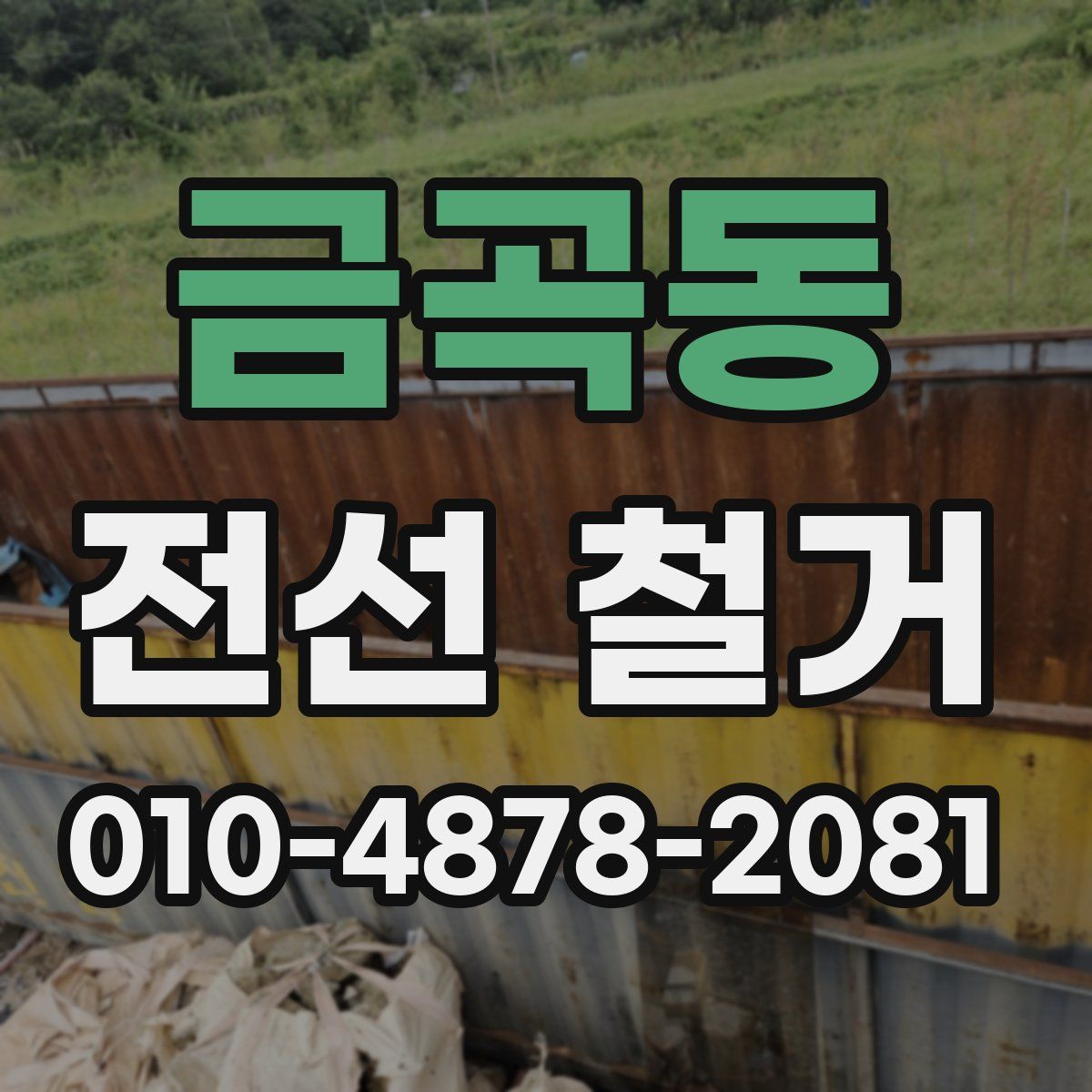 금곡동 전선 철거