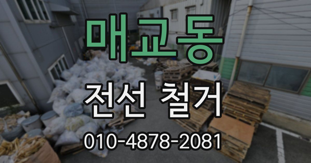 매교동 전선 철거