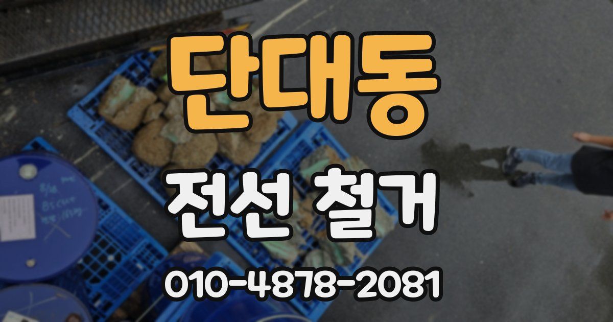단대동 전선 철거