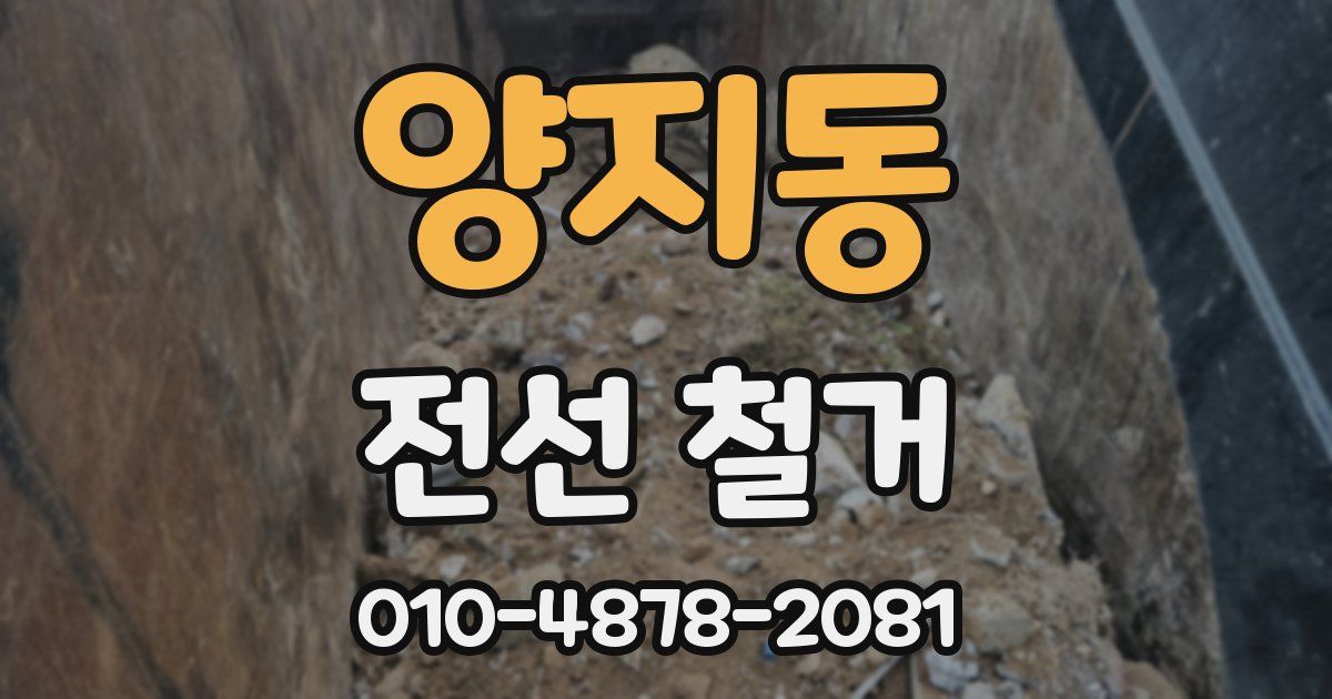 양지동 전선 철거