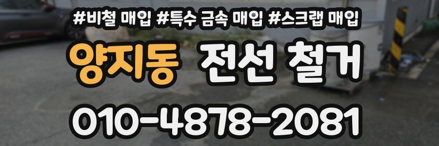 양지동 전선 철거