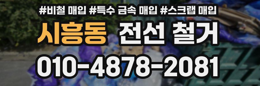 시흥동 전선 철거