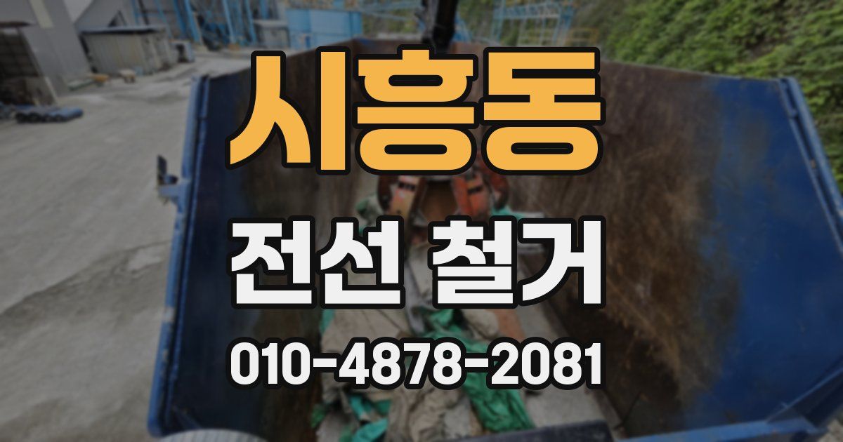 시흥동 전선 철거