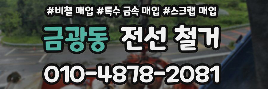 금광동 전선 철거