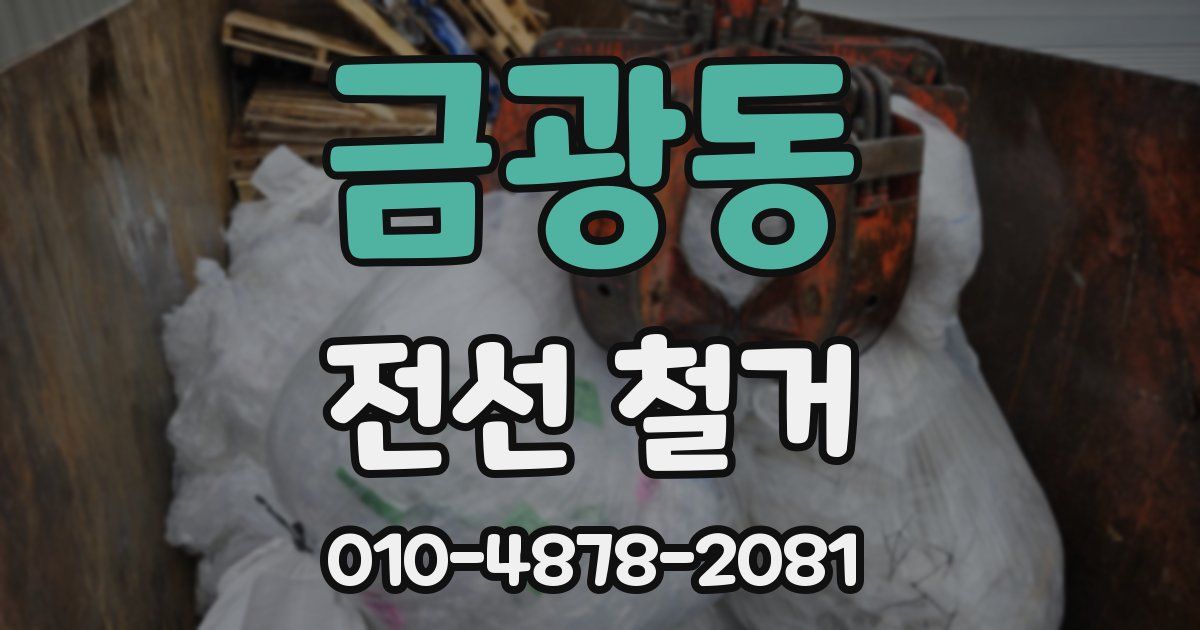금광동 전선 철거