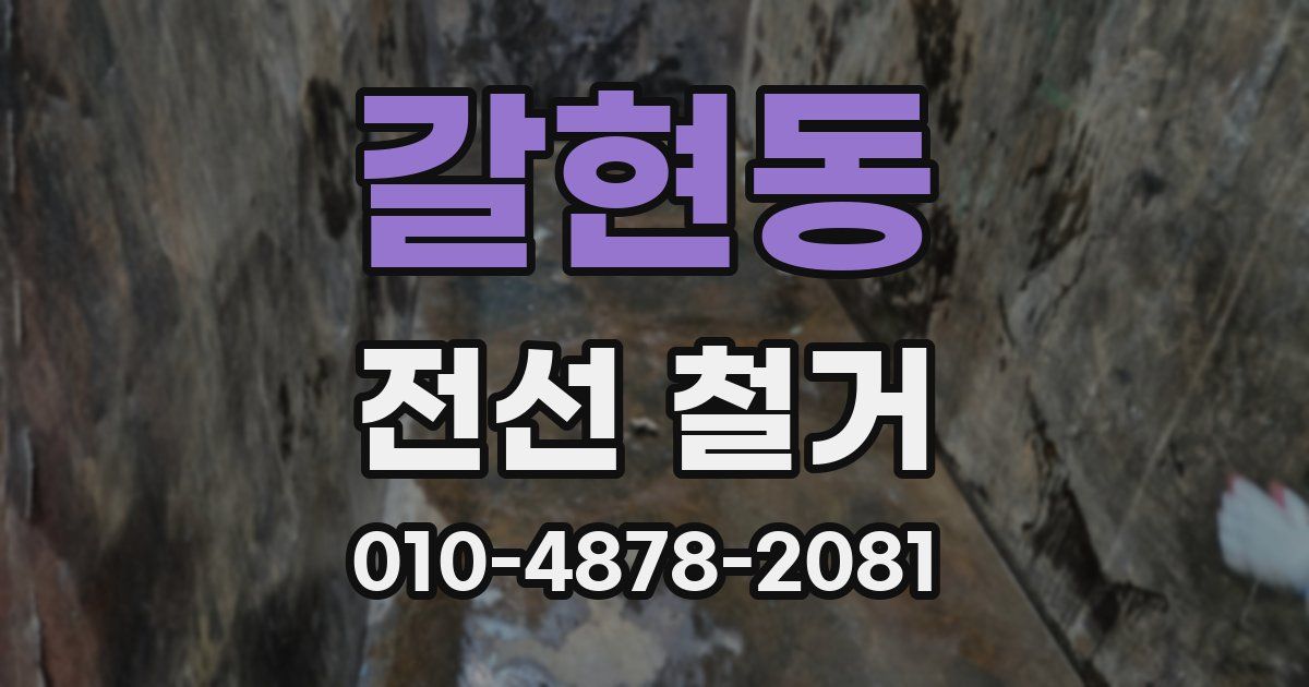 갈현동 전선 철거