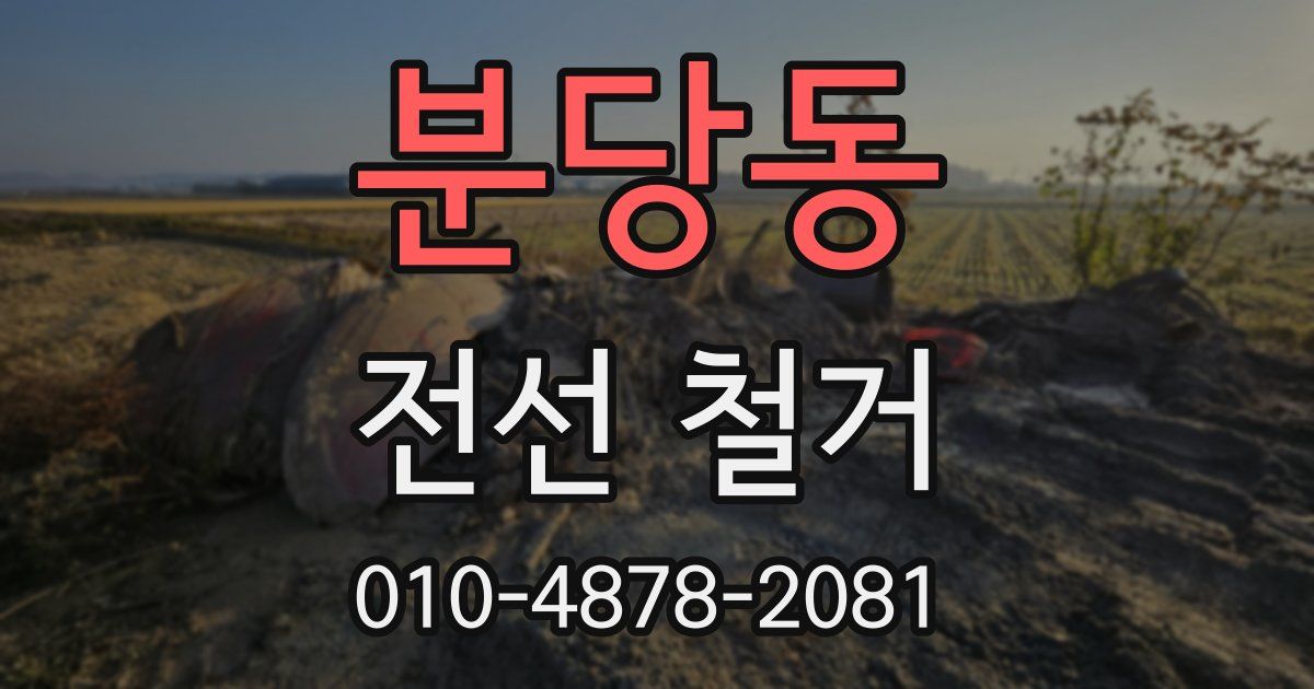 분당동 전선 철거
