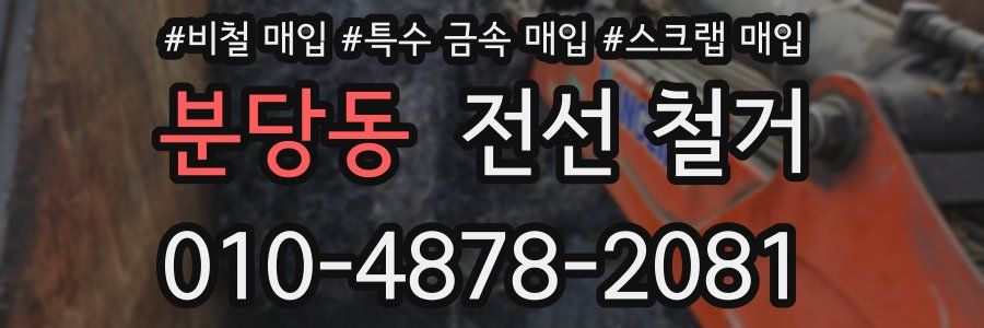 분당동 전선 철거